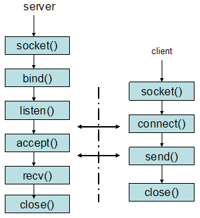 Socket 选项说明